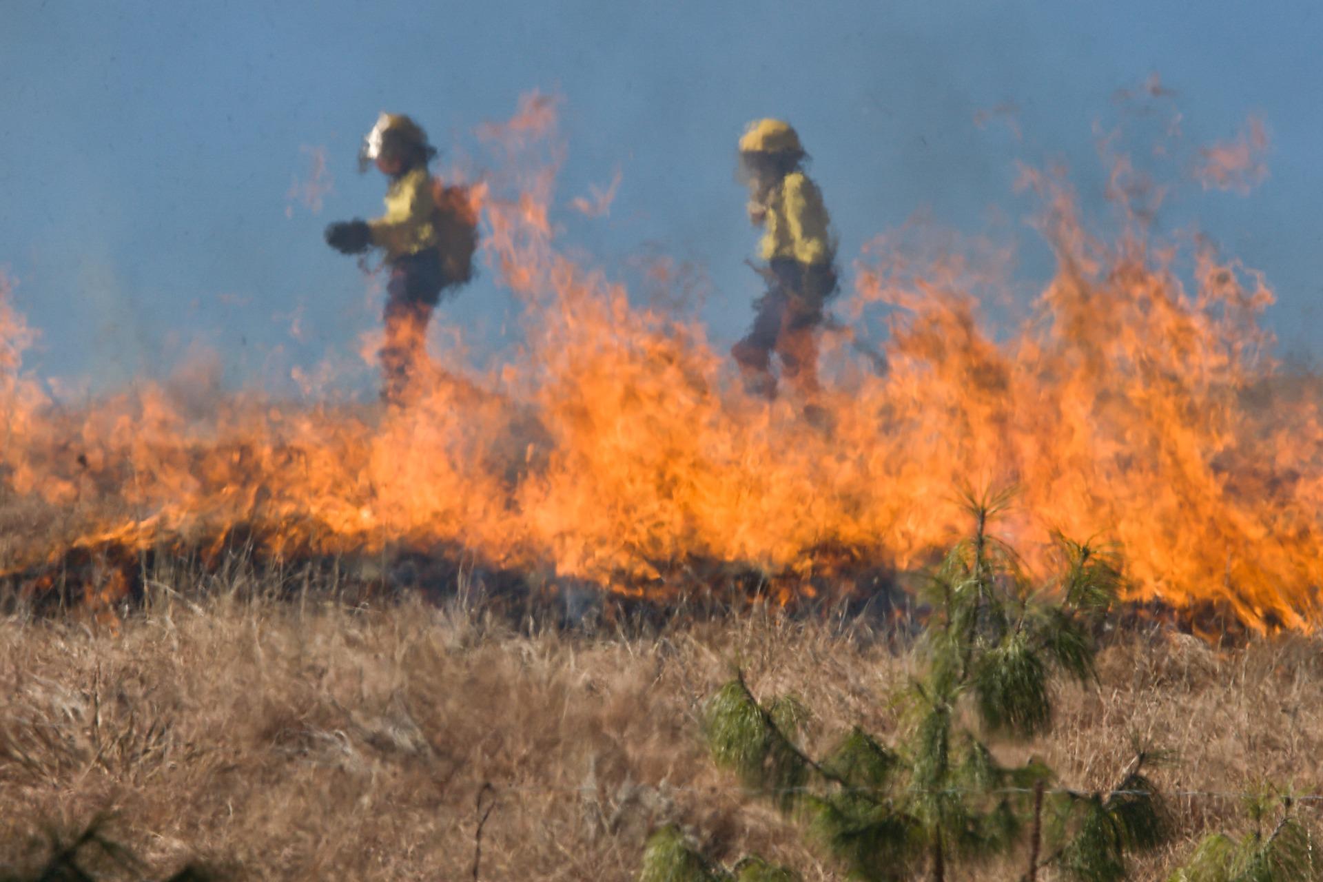 Fire fighters in a blazing field