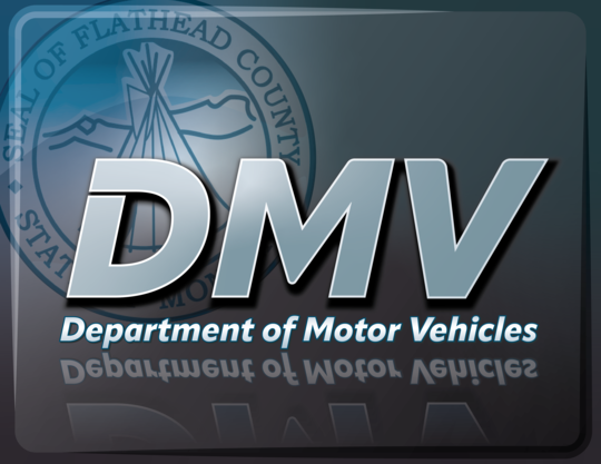 Department of  Motor Vehicles