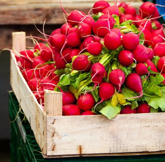 Bright red radishes displayed in a wooden crate.